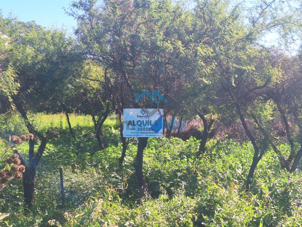 alquila