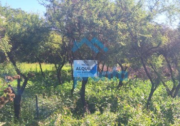 alquila